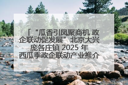 “瓜香引凤聚商机 政企联动促发展”北京大兴庞各庄镇 2025 年西瓜季政企联动产业推介活动圆满举行